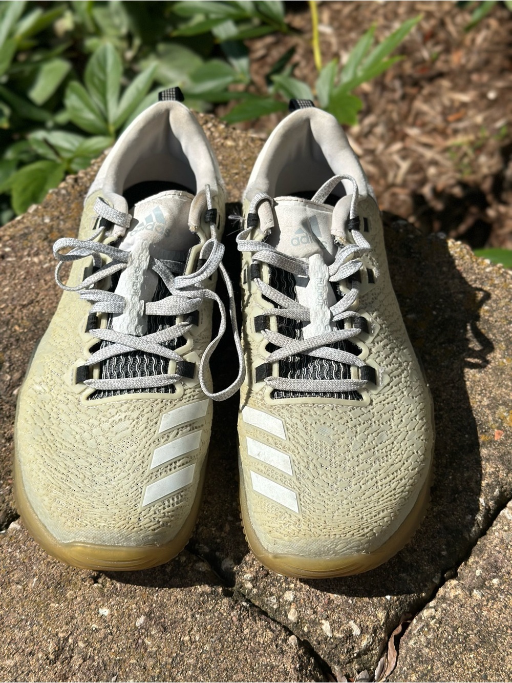 adidas women’s lifting / training shoes